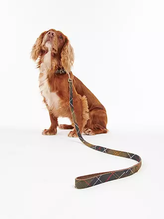 BARBOUR | Hunde Leine Tartan | 